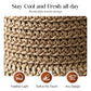 🎀 50% DISCOUNT 👒 | Straw Hat with Retro Bow – Foldable & Breathable for Summer