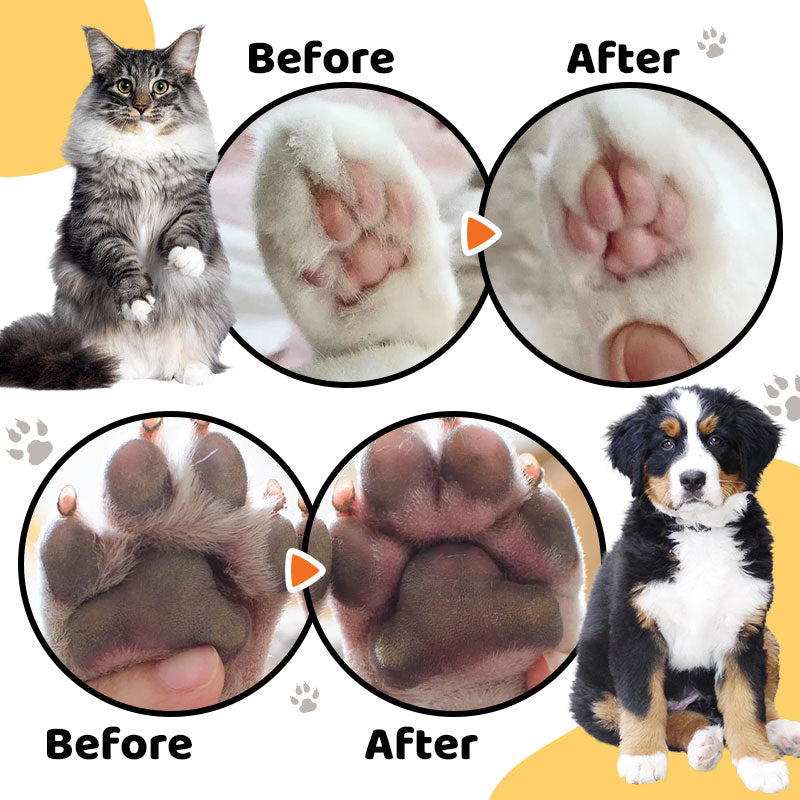 🐱 Waterproof Rechargeable Pet Shaver with LED Light（50% OFF）