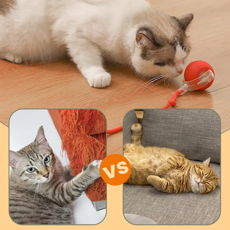 🔥Intelligent Chirping Rolling Interactive Cat Toy Ball🐾