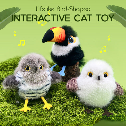 🎁🐱Realistic bird-shaped interactive cat toy