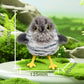 🎁🐱Realistic bird-shaped interactive cat toy