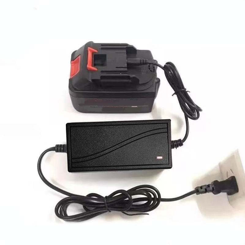 Universal Power Charger