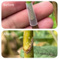 50pcs Silicone Grafting Sleeves for Fruit Trees