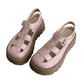 👡 50% OFF NOW! 🔥 Women's Platform Chunky Sandals – Cushioned footbed & anti-slip sole – Stylish, comfy & perfect for summer strolls, beach or daily wear ☀️